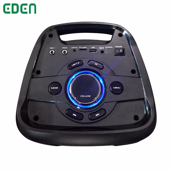 Altavoz PA doble de 6 pulgadas Altavoz inalámbrico Altavoz portátil con flash LED